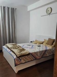 3 Bedroom 1752 Sq.Ft. Builder Floor in Sainik Colony Faridabad