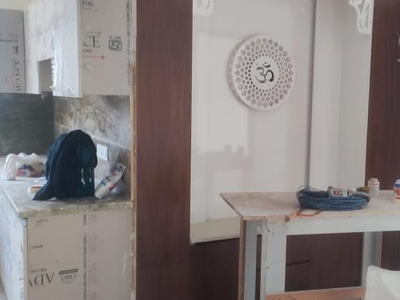 3 Bedroom 250 Sq.Yd. Builder Floor in Sector 21d Faridabad