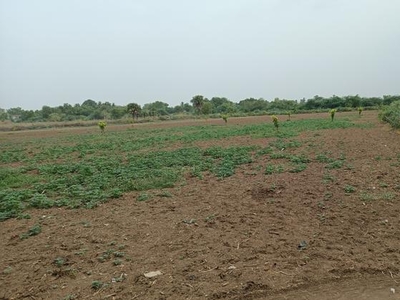4 Acre Plot in Kanchikacherla Vijayawada