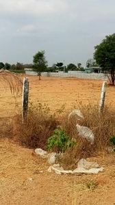 Commercial Land 3 Acre in Shamirpet Hyderabad