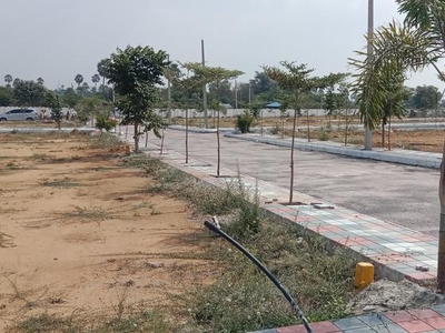 East Zone Near Bibinagar Hmda And Rera Approved Project