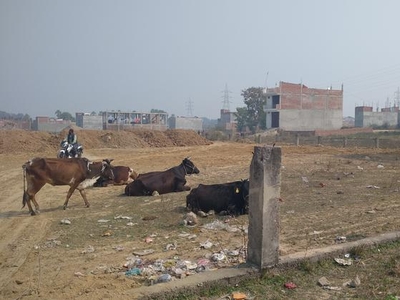 Vidya Nagar Colony, Dandi