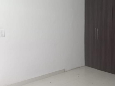 2 Bedroom 906 Sq.Ft. Builder Floor in Lajpat Nagar ii Delhi