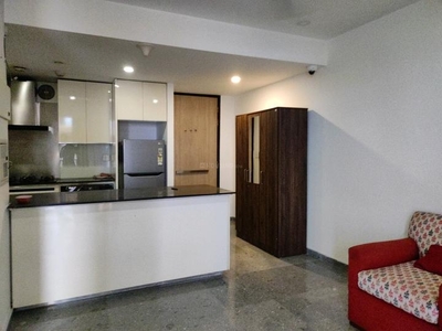 1 BHK Flat for rent in Sion, Mumbai - 500 Sqft