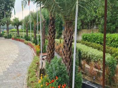 810 sq ft East facing Plot for sale at Rs 85.00 lacs in Wings NKV Golden Avenue in Sector 35 Sohna, Gurgaon