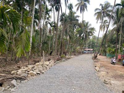 Residential Plot 5740 Sq.ft. for Sale in Chaul, Alibag, Raigad