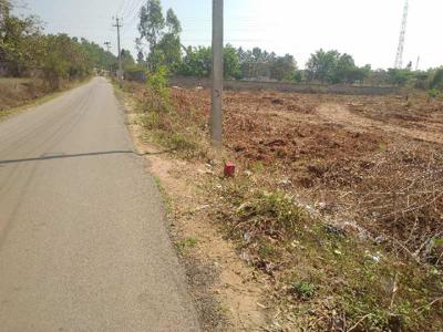 Agricultural Land 40000 Sq.ft. for Rent in