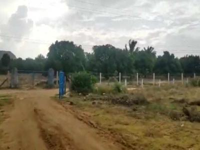 Farm Land for Sale in Ambasamudram, Tirunelveli