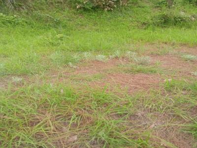 Agricultural Land 14 Acre for Sale in Milak, Rampur