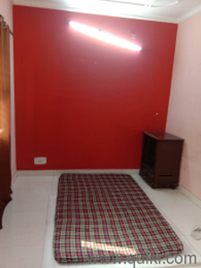 1 BHK 300 Sq. ft Apartment for rent in Sector 16B Dwarka, Delhi