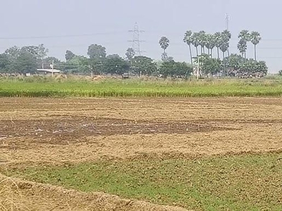 1200 Sq.Yd. Plot in Bihta Patna