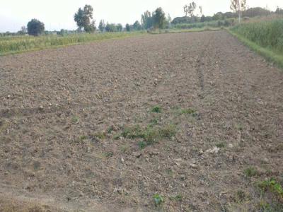 Agricultural Land 2 Bigha for Sale in Jewar, Gautam Buddha Nagar