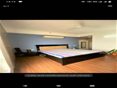 1380 sq ft 2 BHK 2T Apartment for rent in Pioneer Park PH 1 at Sector 61, Gurgaon by Agent India Planning Finance