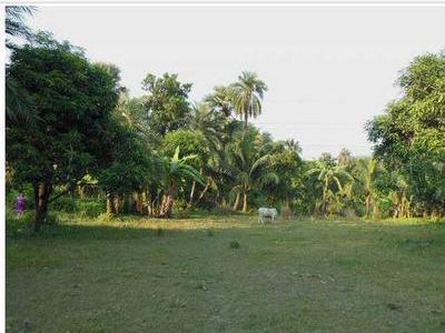 Residential Land For SALE 5 mins from Liluah