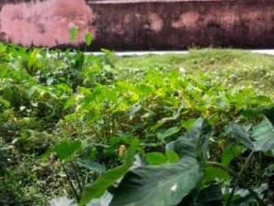 Residential Land For SALE 5 mins from Madhyamgram