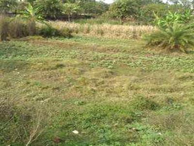 Residential Land For SALE 5 mins from Uluberia