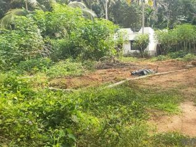 4029 Sq. ft Plot for Sale in Peyad, Trivandrum